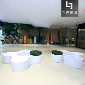 �̈���������e��������b����������XR-13